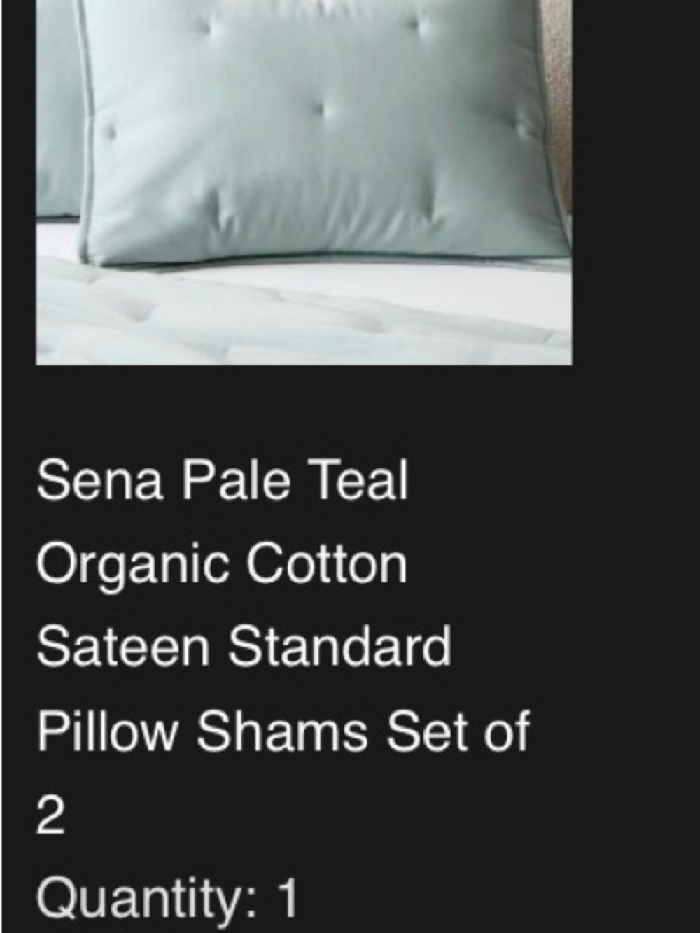 CB2 Sena Pale Teal Pillow Shams Set of 2